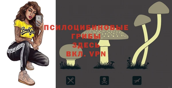 spice Зеленокумск