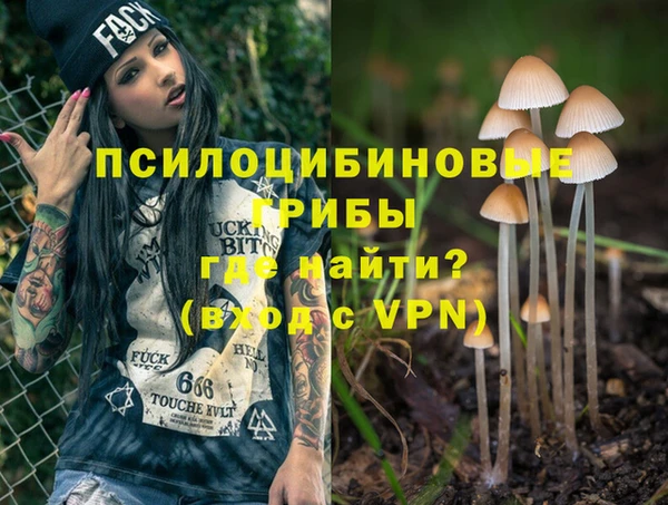 spice Зеленокумск