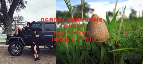 spice Зеленокумск