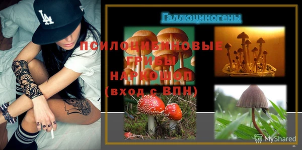 СК Инсар