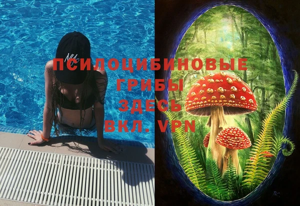 ешки Зерноград