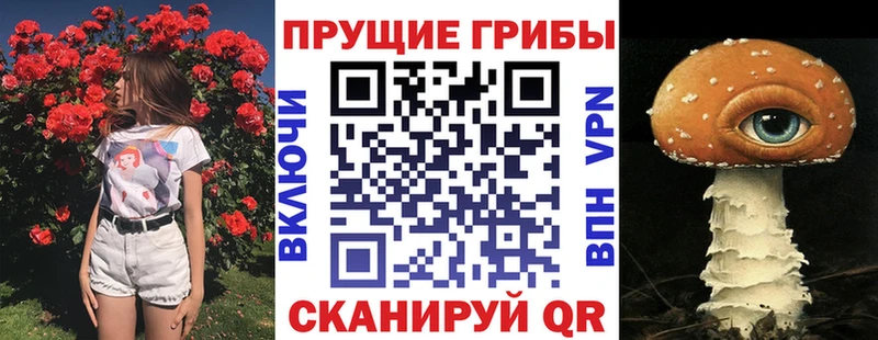 Купить где  Кедровый  Псилоцибиновые грибы Psilocybine cubensis 